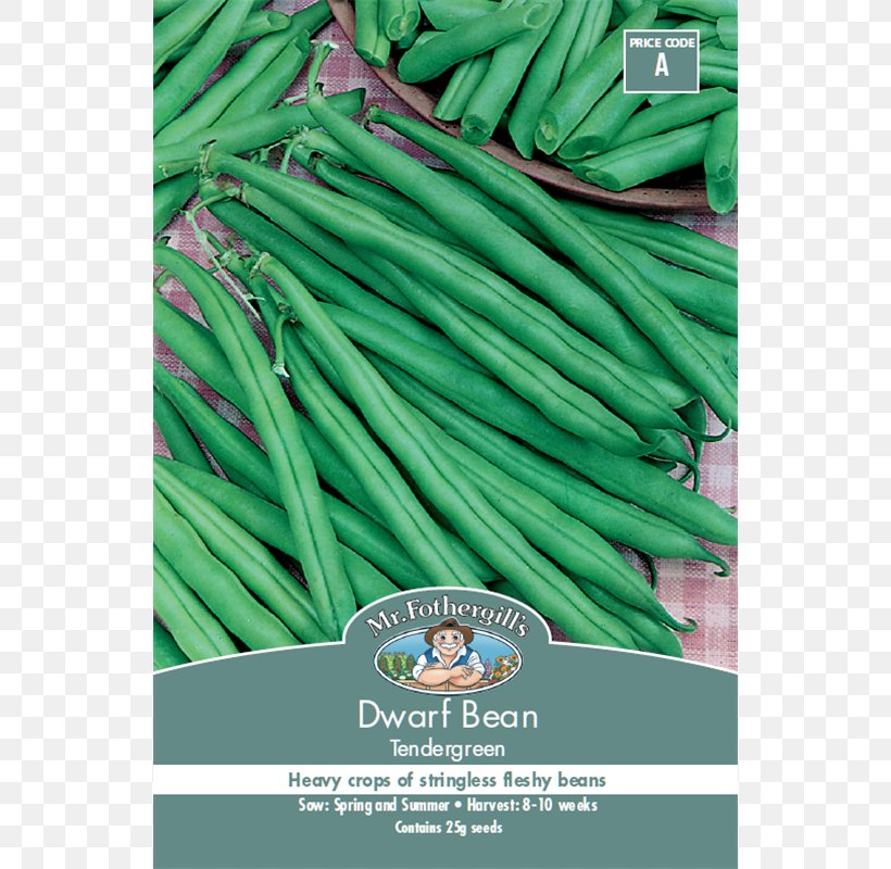 Green Bean Common Bean Seed Runner Bean, PNG, 800x800px, Green Bean, Allium Fistulosum, Bean, Bunnings Warehouse, Common Bean Download Free