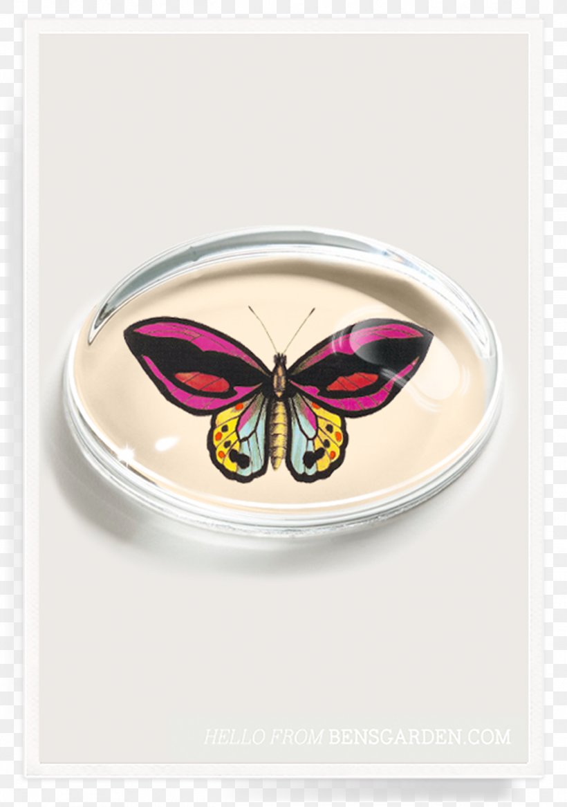 Paperweight Ben's Garden These Are Great Days Crystal, PNG, 1348x1920px, Paperweight, Art, Butterfly, Collage, Crystal Download Free