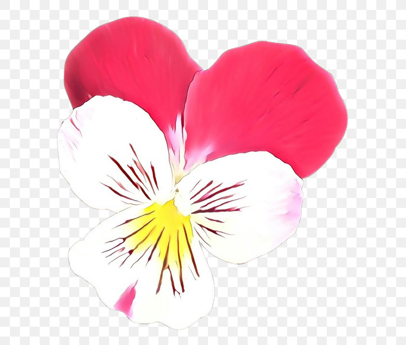 Petal Flower Plant Wild Pansy Violet Family, PNG, 700x697px, Petal, Flower, Geranium, Plant, Violet Family Download Free