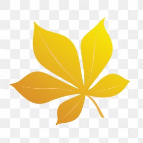 Leaf - Poster Petal Leaf PNG