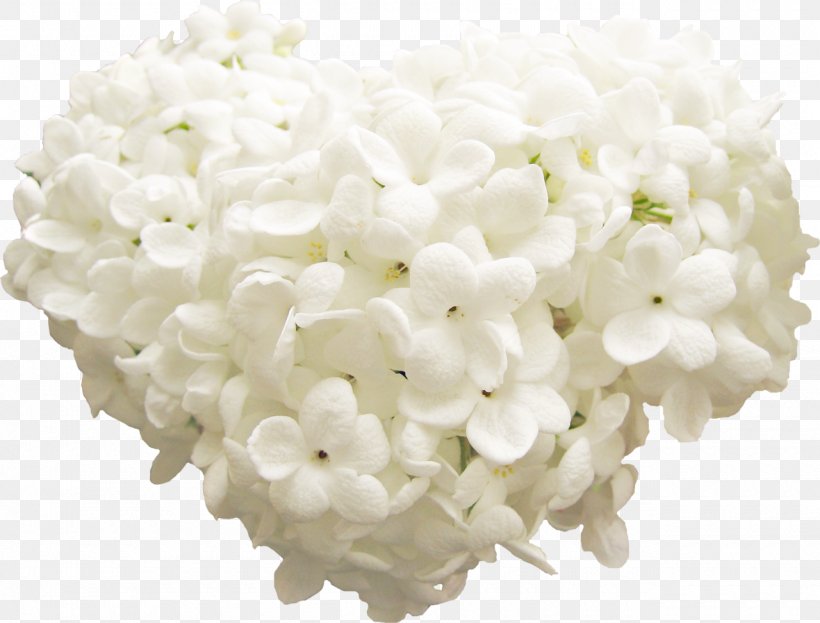 White Flower, PNG, 1280x973px, White, Animaatio, Chart, Commodity, Data Compression Download Free