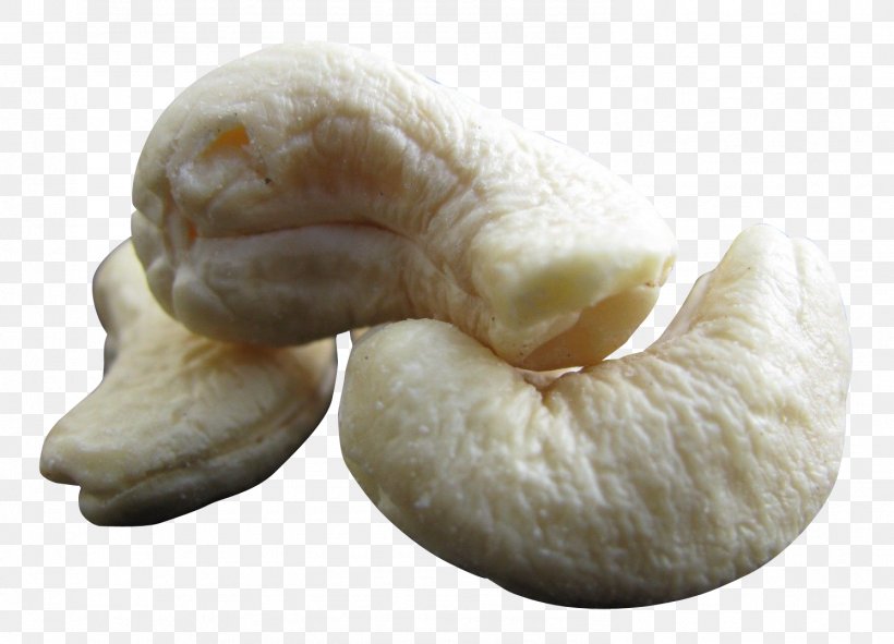 Cashew Nut, PNG, 1492x1076px, Cashew, Almond, Auglis, Dried Fruit, Drupe Download Free