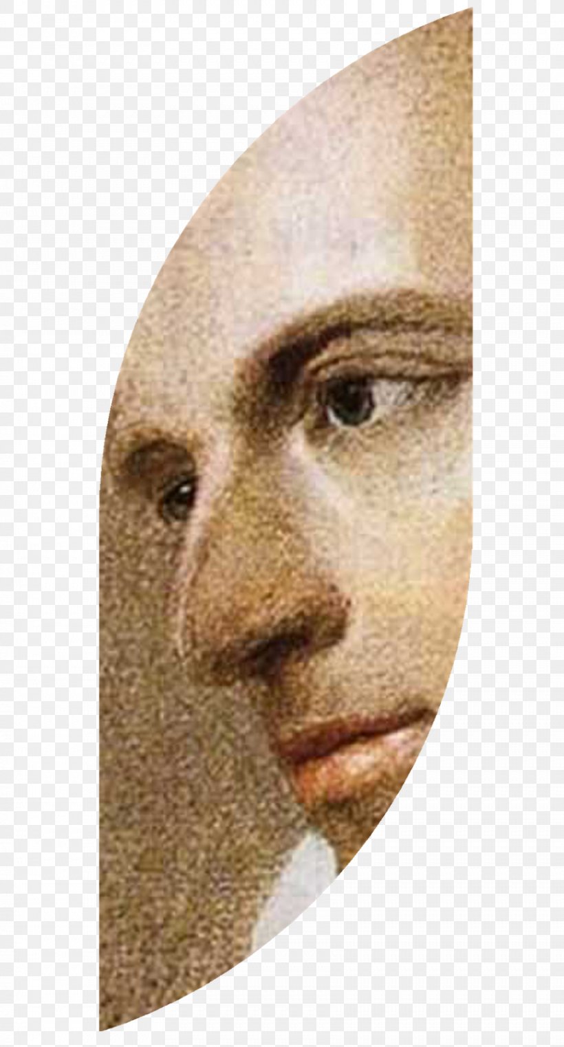 De La Gracia Y La Dignidad .. Friedrich Schiller, Plays Collection Nose Portrait, PNG, 861x1600px, Plays, Book, Chin, Close Up, Closeup Download Free