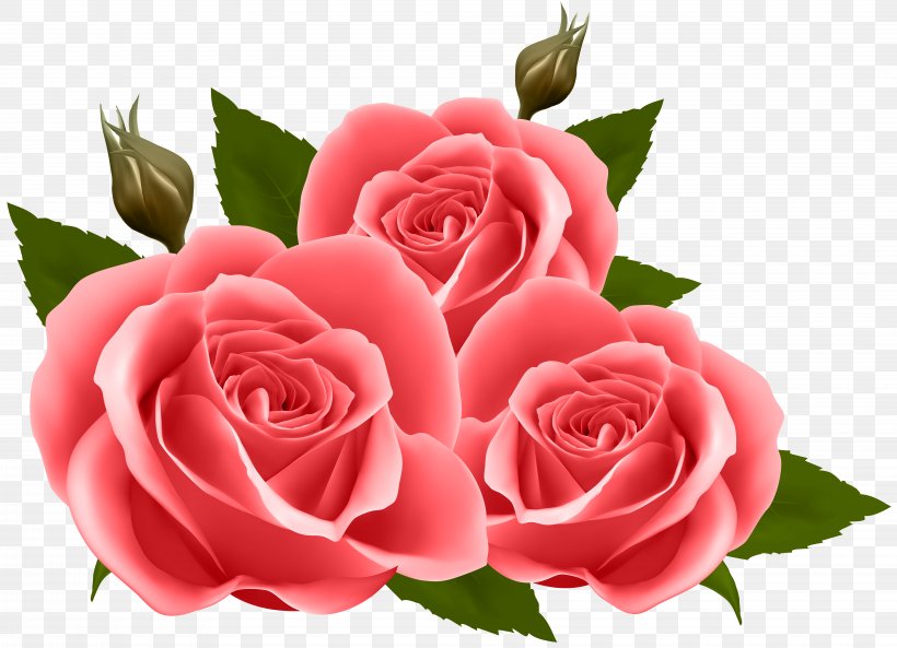 Flower Rose Floral Design Wallpaper, PNG, 8000x5790px, Flower, Artificial Flower, Cut Flowers, Floral Design, Floribunda Download Free