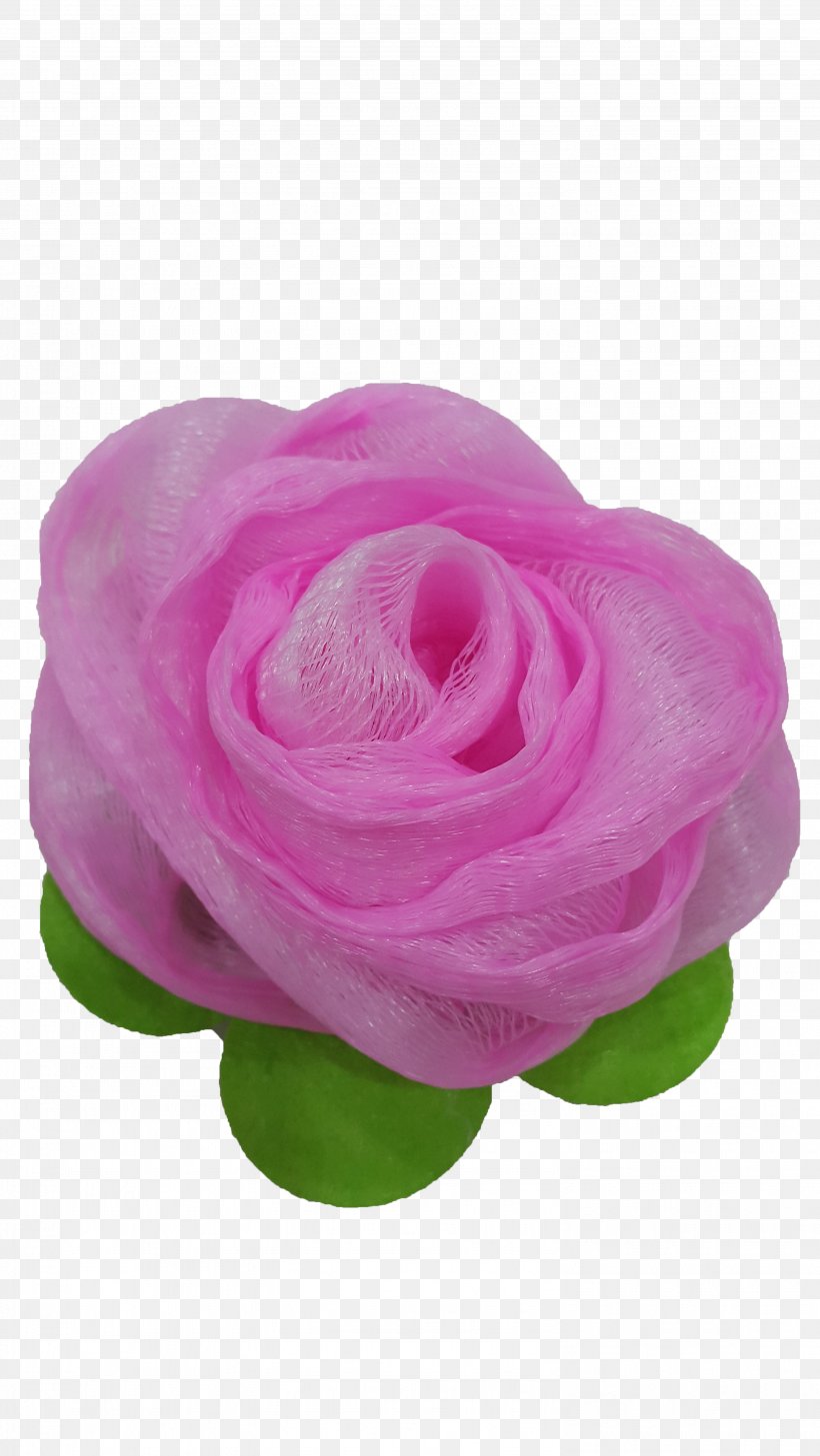 Garden Roses Cabbage Rose Cut Flowers Petal, PNG, 2988x5312px, Garden Roses, Cabbage Rose, Cut Flowers, Flower, Flowering Plant Download Free