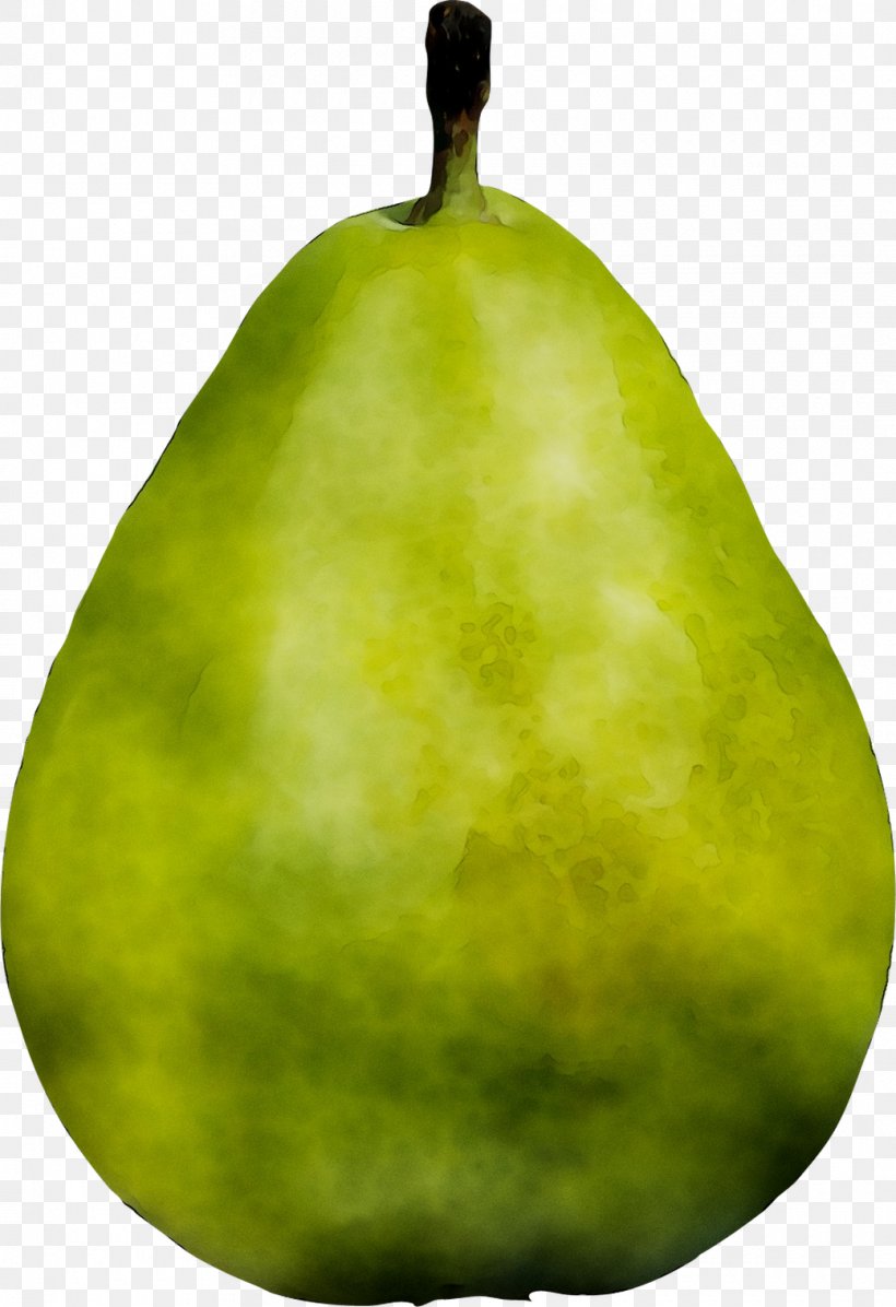 Pear Fahrenheit, PNG, 1040x1517px, Pear, Accessory Fruit, Chayote, Fahrenheit, Food Download Free