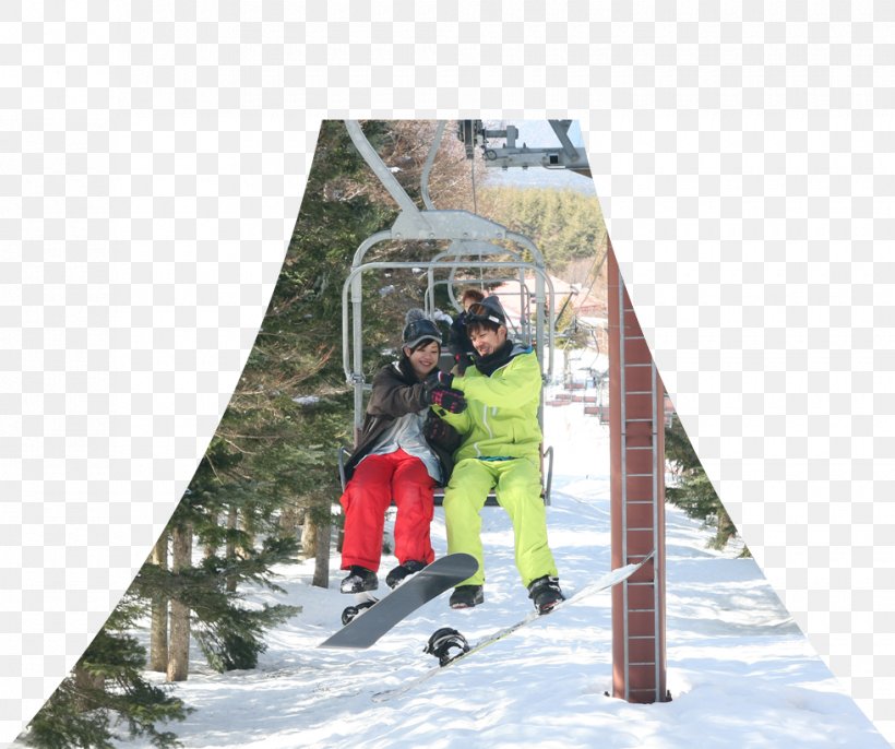 Winter - Winter Sport Recreation Leisure Tree PNG