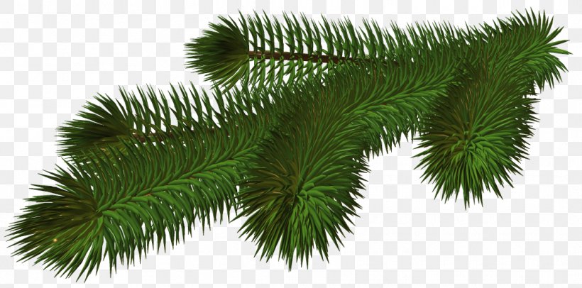 Christmas Tree Branch Clip Art, PNG, 1065x528px, Branch, Artificial Christmas Tree, Christmas, Christmas Decoration, Christmas Lights Download Free