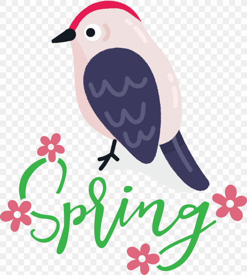 Spring Bird, PNG, 2697x3000px, Spring, Beak, Bird, Birds, Meter Download Free
