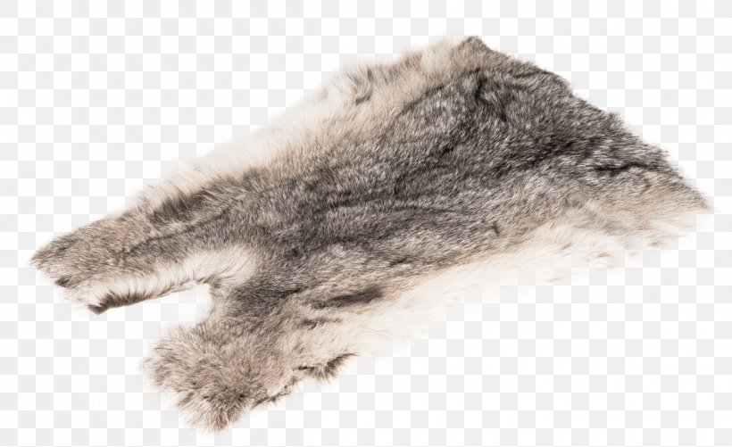 Amazon.com Hasenfell Rabbit Hair Fur Chinchilla, PNG, 1200x734px, Amazoncom, Black, Bont, Chinchilla, Clothing Download Free