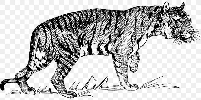 Bengal Tiger Siberian Tiger Felidae Clip Art, PNG, 1280x640px, Bengal Tiger, Animal Figure, Art, Big Cats, Black And White Download Free