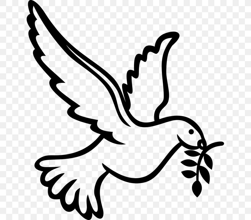 Columbidae Bird Doves As Symbols Domestic Pigeon, PNG, 645x720px, Columbidae, Art, Artwork, Beak, Bird Download Free
