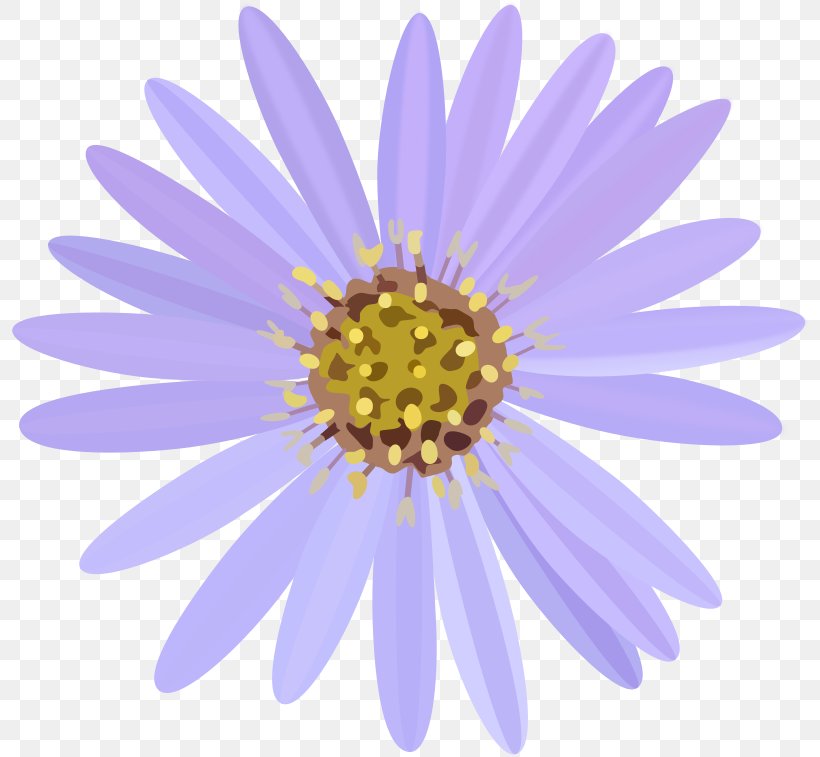 Clip Art, PNG, 800x757px, Sticker, Annual Plant, Aster, Chrysanths, Close Up Download Free