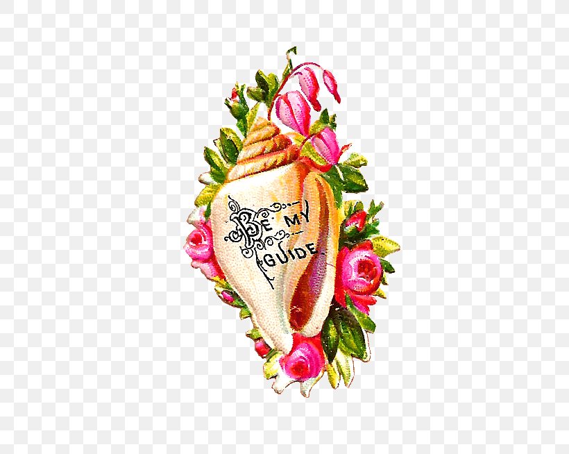 Conch Drawing Clip Art, PNG, 549x654px, Conch, Cut Flowers, Decoupage, Drawing, Floral Design Download Free