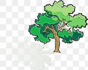Logo Oak - Green Day Logo PNG
