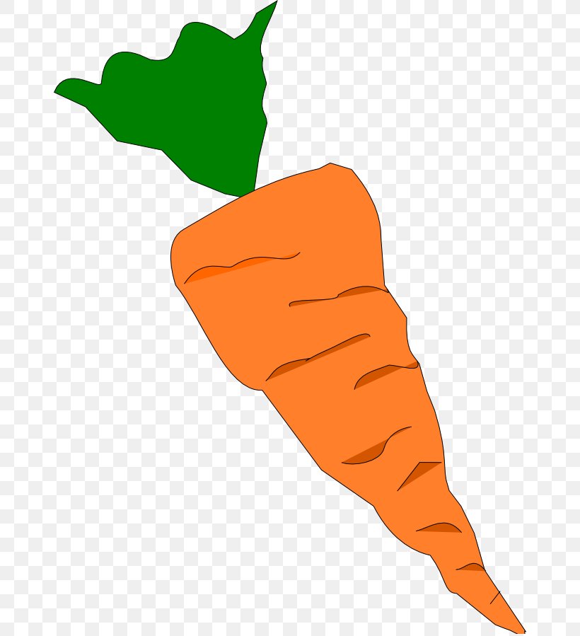 Healthy Food, PNG, 668x899px, Carrot, Baby Carrot, Carrot Cake, Daikon, Daucus Download Free
