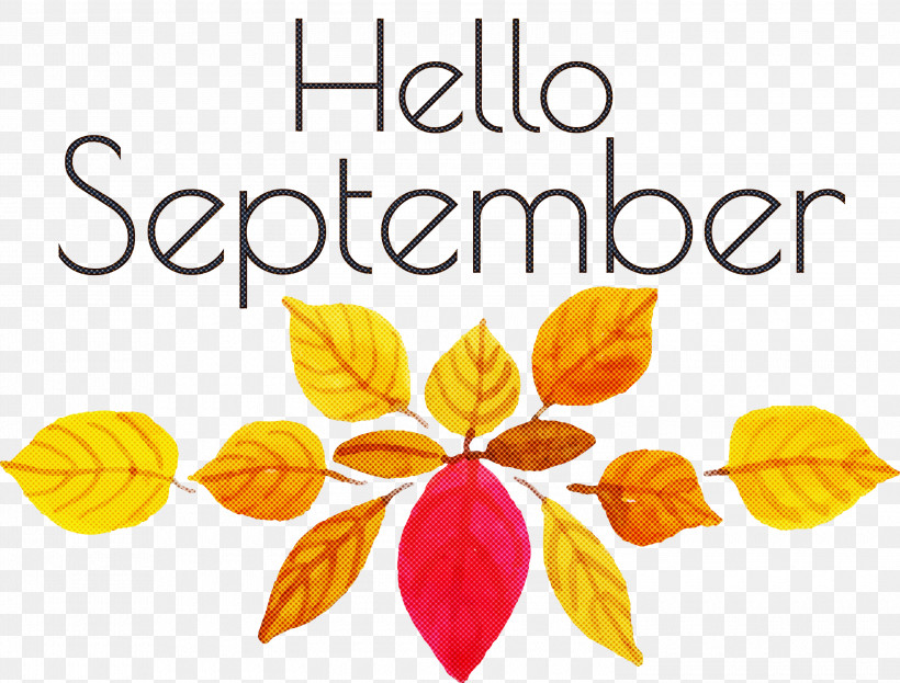 Hello September September, PNG, 3000x2281px, Hello September, Autumn, Cut Flowers, Flower, Leaf Download Free