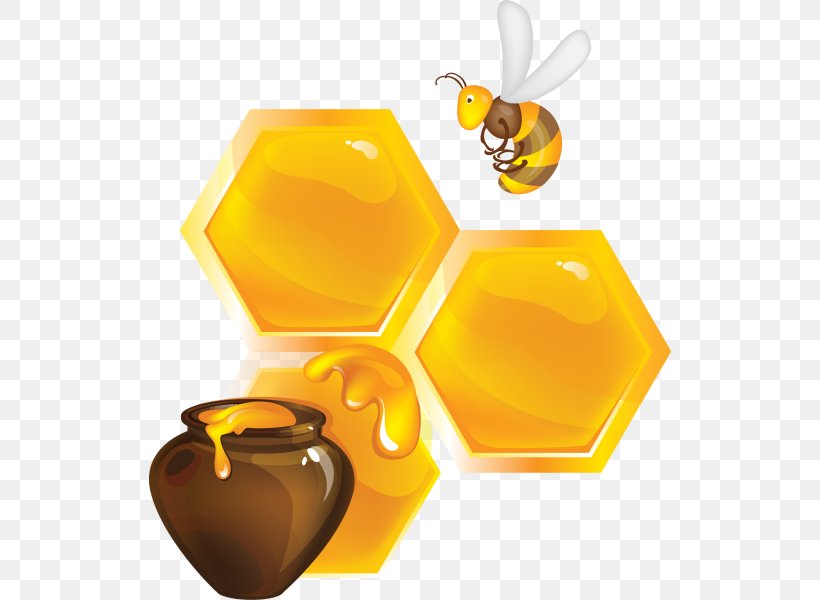 Honey Bee Beekeeping, PNG, 522x600px, Honey Bee, Bee, Bee Pollen, Beekeeper, Beekeeping Download Free