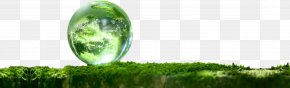 Lop - Desktop Wallpaper Nature Landscape PNG