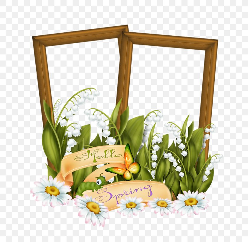 Flower Lily Of The Valley Picture Frames Floristry, PNG, 800x800px, Flower, Blog, Electronic Visual Display, Email, Flora Download Free