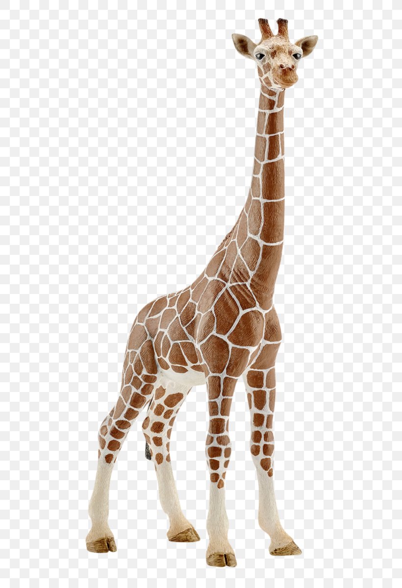 Giraffe Schleich Calf Amazon.com Toy, PNG, 572x1200px, Giraffe, Action Toy Figures, Amazoncom, Animal Figure, Animal Figurine Download Free