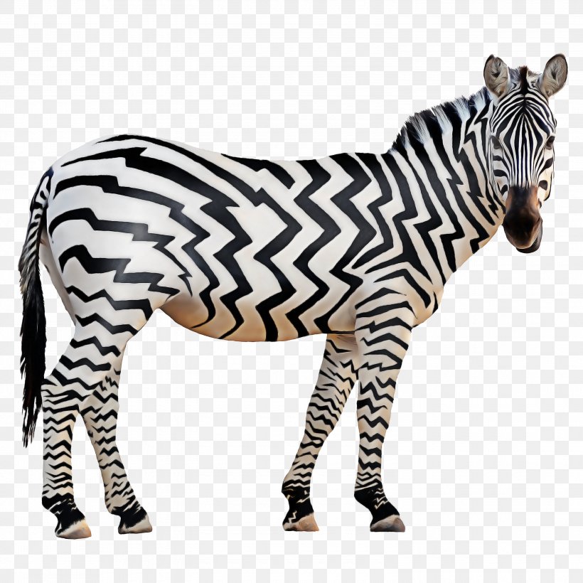 Zebra Cartoon, PNG, 3000x3000px, Zebra, Animal, Animal Figure, Burchells Zebra, Canvas Download Free