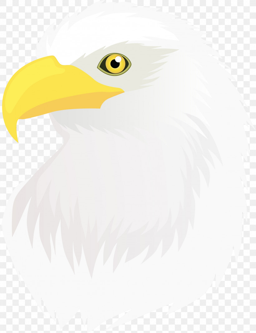 Bird Bald Eagle Beak Eagle Bird Of Prey, PNG, 2304x3000px, Watercolor, Accipitridae, Bald Eagle, Beak, Bird Download Free