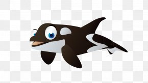 Shark - Cartoon Dolphin Illustration PNG