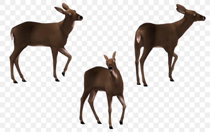 Elk White-tailed Deer Art Antelope, PNG, 1024x645px, Elk, Animal, Animal Figure, Antelope, Antler Download Free