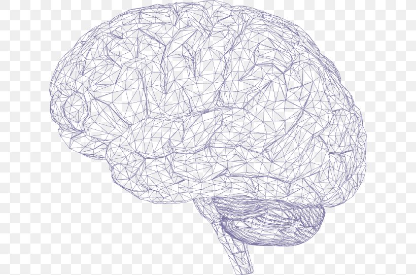 Human Brain Cerebrum Polygon Mesh, PNG, 626x542px, Watercolor, Cartoon, Flower, Frame, Heart Download Free