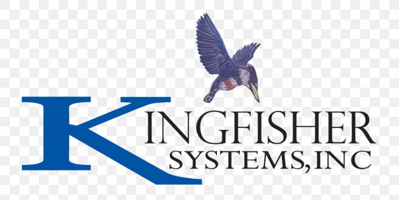 Logo Kingfisher System, PNG, 1024x514px, Logo, Advertising, Beak, Brand, Company Download Free