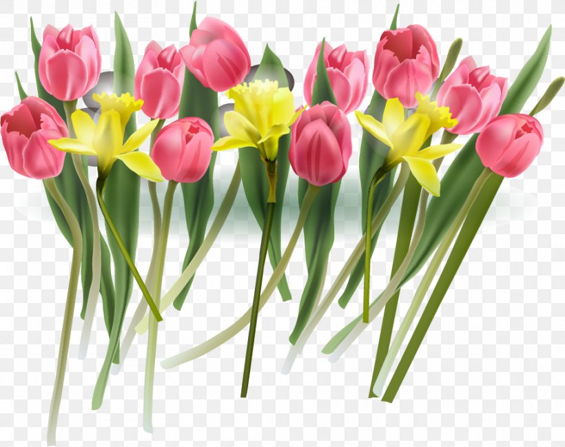 Tulip Flower Euclidean Vector, PNG, 911x722px, Tulip, Cut Flowers, Designer, Floral Design, Floristry Download Free