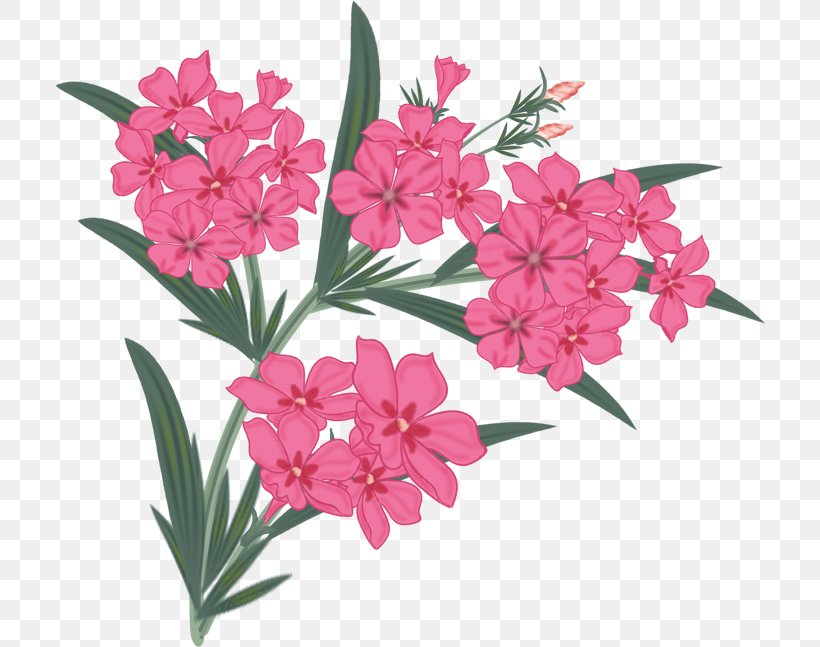 Floral Design Flower Petal Painting, PNG, 710x647px, Floral Design, Cut Flowers, Daphne, Dianthus, Drawing Download Free