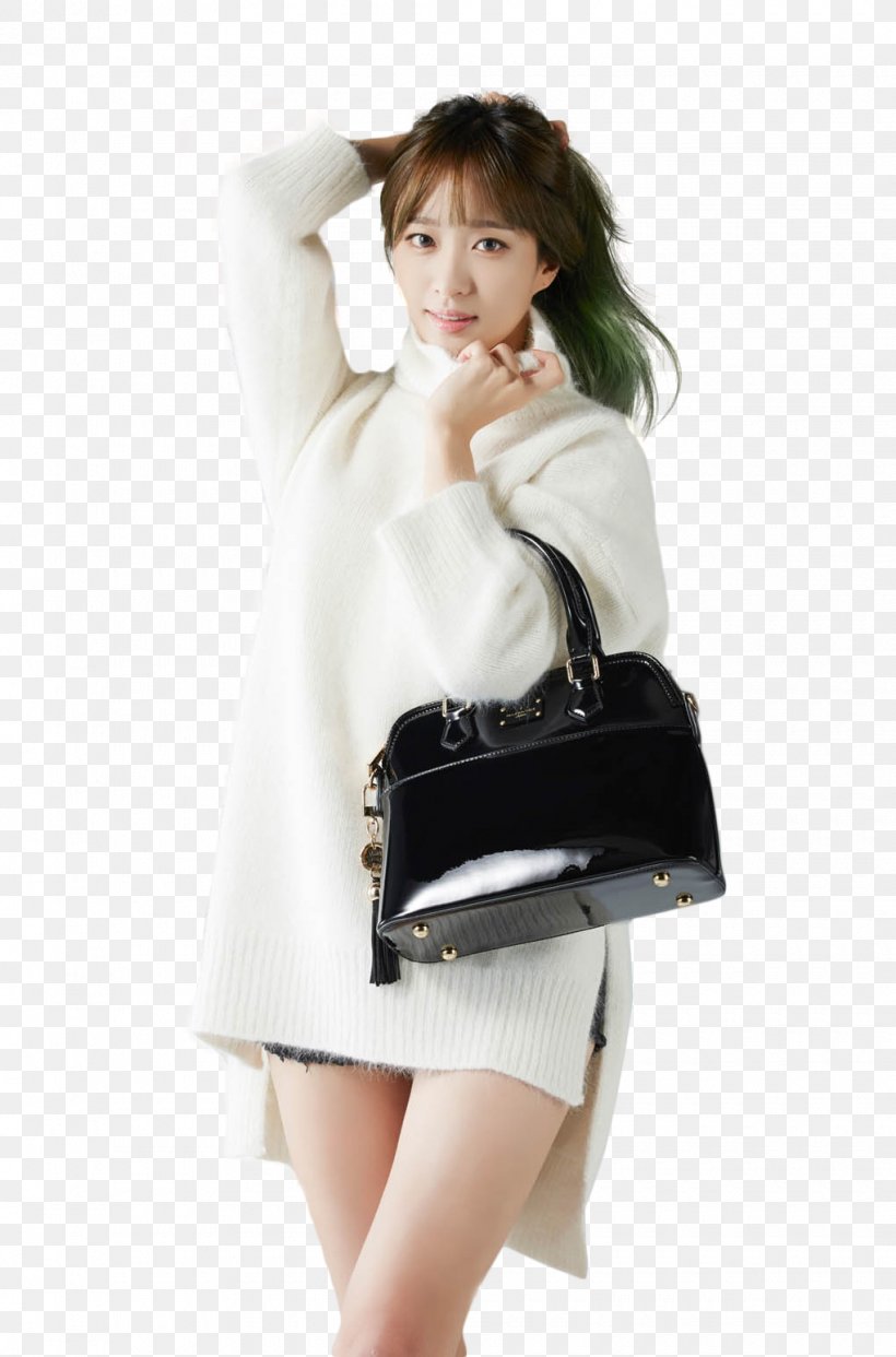 Hani Paul's Boutique EXID K-pop Handbag, PNG, 1020x1545px, Watercolor, Cartoon, Flower, Frame, Heart Download Free