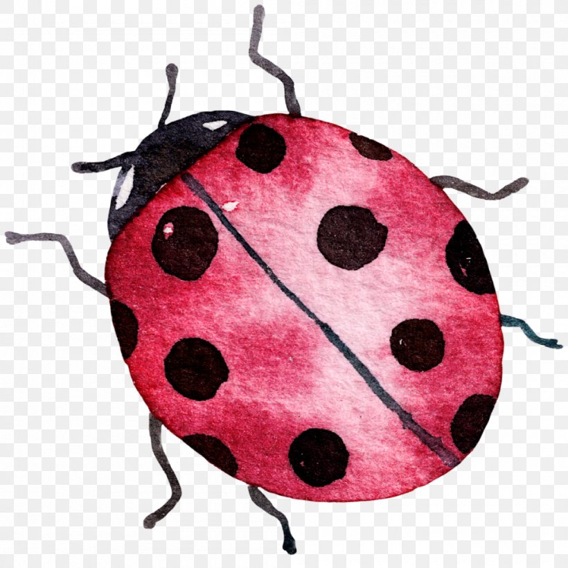 Insect Coccinella Septempunctata Ladybird, PNG, 1000x1000px, Insect, Beetle, Beneficial Insects, Cartoon, Cmyk Color Model Download Free