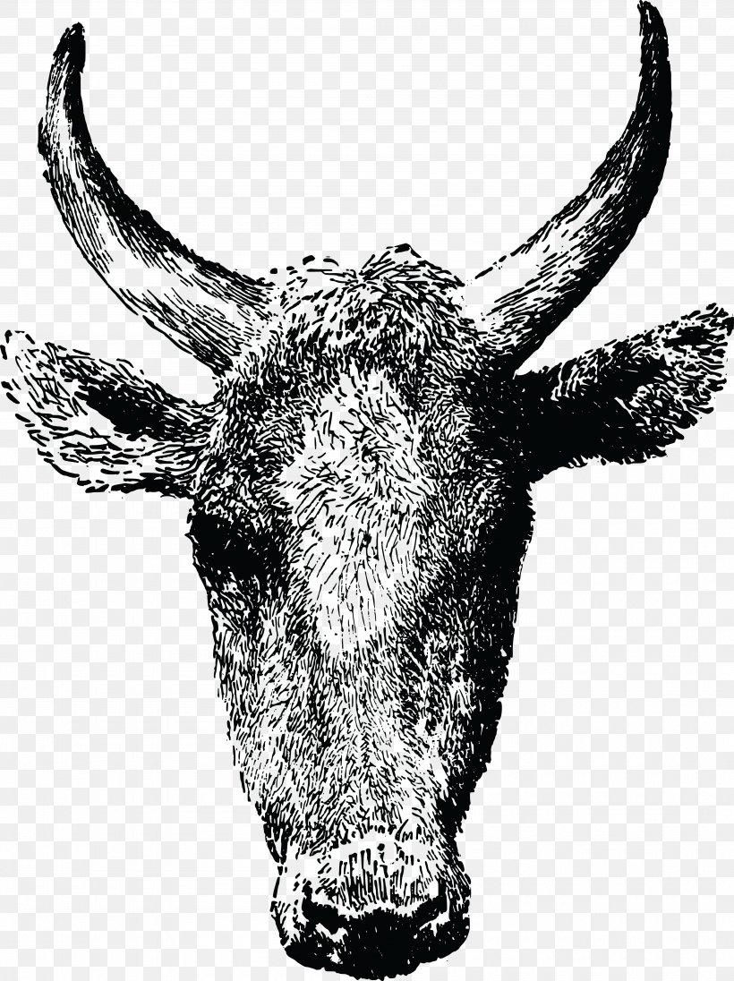 Texas Longhorn Angus Cattle Ox Bull Beef Cattle, PNG, 4000x5348px, Texas Longhorn, Angus Cattle, Antler, Beef Cattle, Black And White Download Free