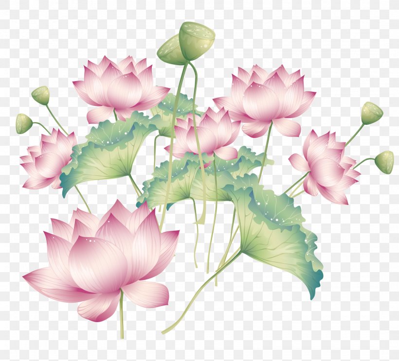 Buddhism Nelumbo Nucifera, PNG, 2150x1950px, Nelumbo Nucifera, Flora, Floral Design, Floristry, Flower Download Free