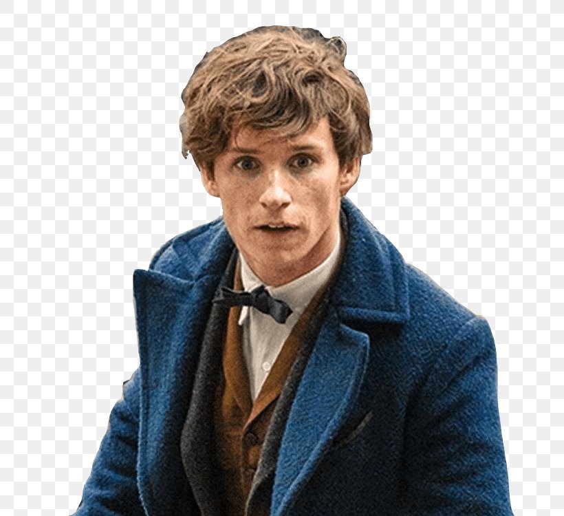 Fantastic Beasts And Where To Find Them Newt Scamander David Yates Albus Dumbledore, PNG, 750x750px, Newt Scamander, Albus Dumbledore, David Yates, Fan Fiction, Fictional Universe Of Harry Potter Download Free