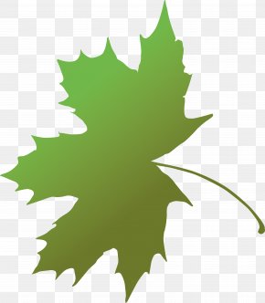 Metal Leaves - Maple Leaf Green Grape Leaves Plant Stem PNG