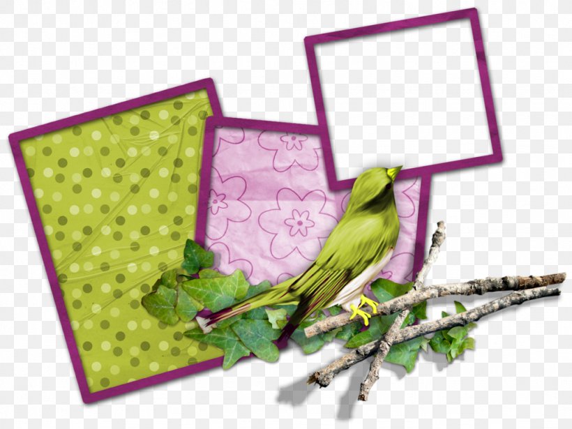 Paper Watercolor Painting, PNG, 1024x768px, Paper, Beak, Bird, Bird Supply, Common Pet Parakeet Download Free