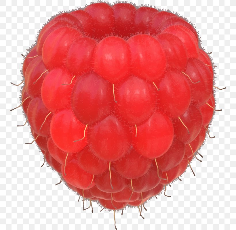 Raspberry Clip Art, PNG, 752x800px, Raspberry, Berry, Copyright, Food, Fruit Download Free