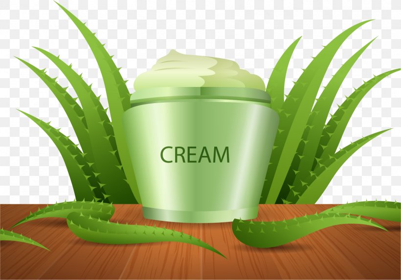 Aloe Vera Cream Agave Skin, PNG, 1511x1056px, Aloe Vera, Agave, Aloe, Ascorbic Acid, Brand Download Free