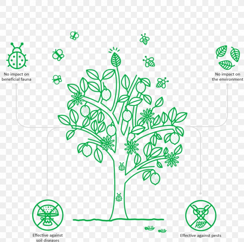 Leaf Plant Stem, PNG, 952x945px, Leaf, Area, Branch, Branching, Diagram Download Free