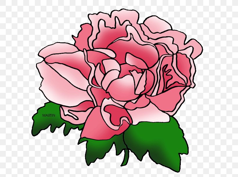 Peony Pink Flowers Indiana Clip Art, PNG, 648x610px, Peony, Blog, Cut Flowers, Flora, Floral Design Download Free