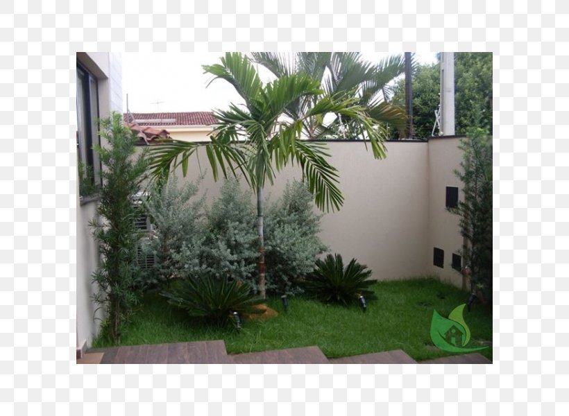 Arecaceae Backyard Property Grasses Shrub, PNG, 600x600px, Arecaceae, Arecales, Backyard, Courtyard, Evergreen Download Free