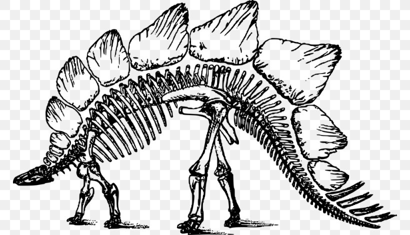 Bone Wars Tyrannosaurus Triceratops Stegosaurus Dinosaur Renaissance, PNG, 768x470px, Bone Wars, Artwork, Black And White, Bone, Dinosaur Download Free