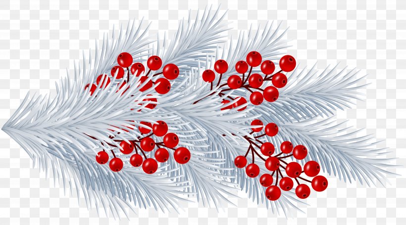 Clip Art, PNG, 5000x2778px, Christmas, Art Museum, Branch, Flowering Plant, Fruit Download Free