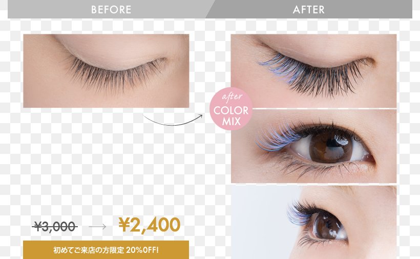 Eyelash Extensions Japanese Yen プロケアアイラッシュ まつ毛エクステンション, PNG, 790x505px, Eyelash Extensions, Artificial Hair Integrations, Beauty, Cosmetics, Eye Download Free