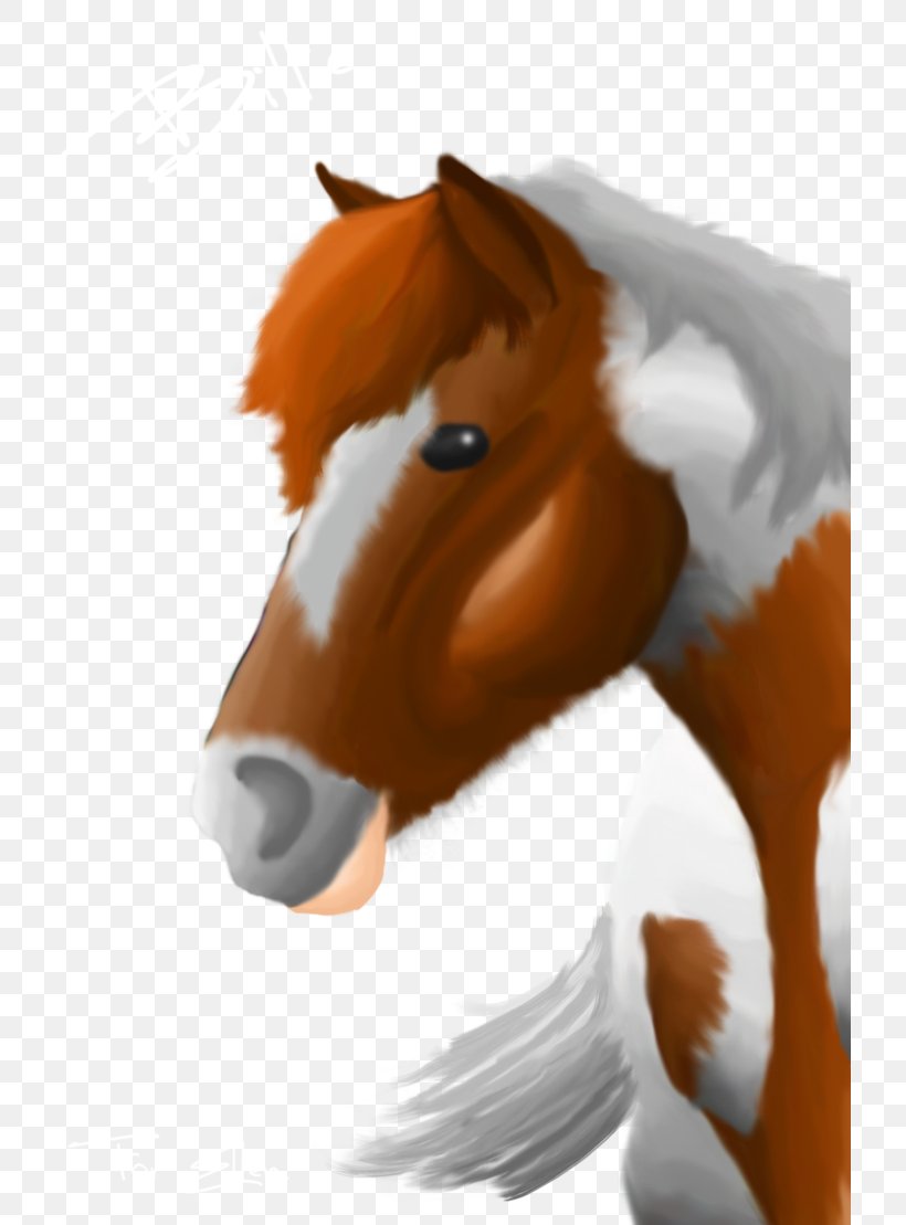 Foal Halter Mane Stallion Colt, PNG, 721x1109px, Foal, Bridle, Cartoon, Closeup, Colt Download Free