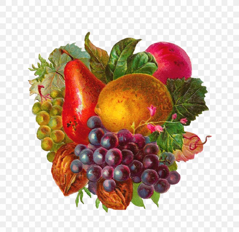 Fruit Vintage Clothing Apple Clip Art, PNG, 1600x1555px, Fruit, Antique, Apple, Apricot, Blackberry Download Free